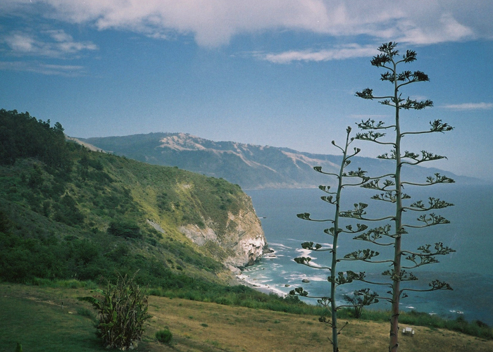 IN FRONT OF US: THE BIG SUR